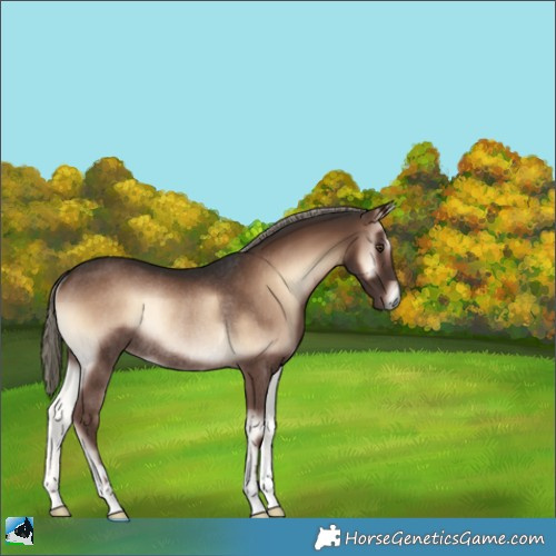Horse Color:Liver Red Onyx Mushroom Rabicano 