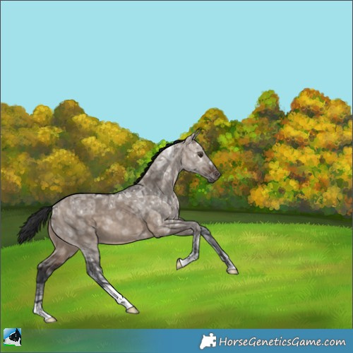 Horse Color:Brown Ice Dun Mushroom 