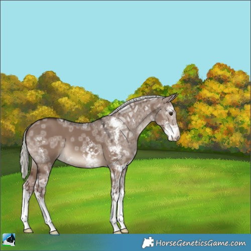Horse Color:Liver Red Dun Ice Mushroom Sabino 
