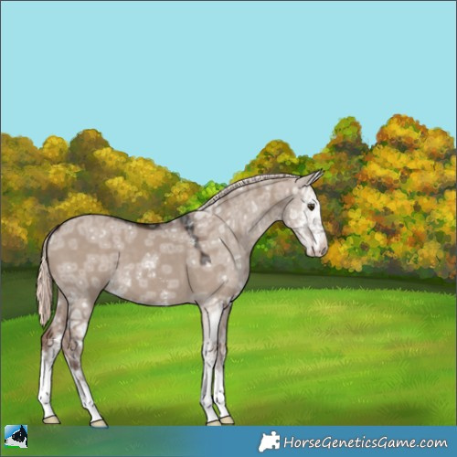 Horse Color:Liver Red Dun Ice Mushroom Sabino