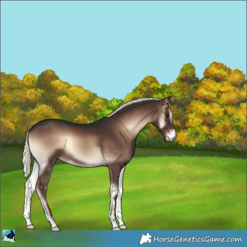 Horse Color:Liver Red Onyx Mushroom 