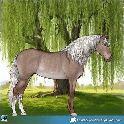 Horse Color:Liver Red Dun Mushroom Rabicano 