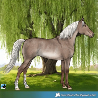 Horse Color:Liver Red Dun Mushroom Rabicano 