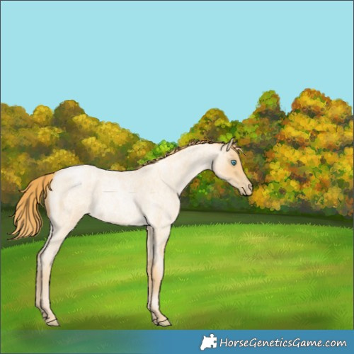 Horse Color:Smoky Blue Roan Pearl 