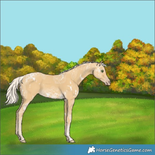 Horse Color:White Spotted Silver Classic Cream Champagne Ice