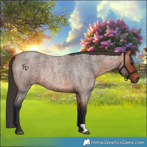 Horse Color:Bay Roan Rabicano 
