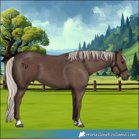 Horse Color:Silver Black 