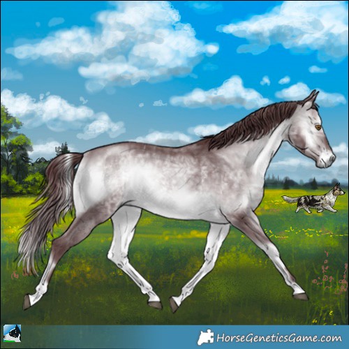 Horse Color:Chocolate Brown Chinchilla Onyx Rabicano 