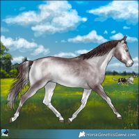 Horse Color:Chocolate Brown Chinchilla Onyx Rabicano 