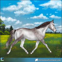 Horse Color:Chocolate Brown Chinchilla Onyx Sabino Rabicano