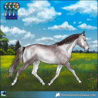 Horse Color:Chocolate Brown Chinchilla Onyx Sabino Rabicano 