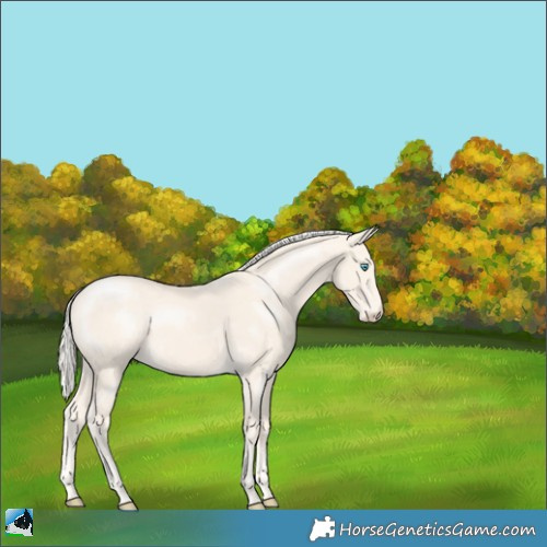 Horse Color:Cremello Mushroom