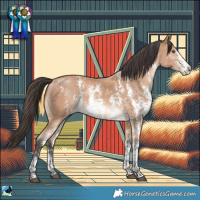 Horse Color:Buckskin Mushroom Sabino