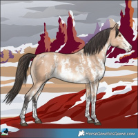 Horse Color:Buckskin Mushroom Sabino 