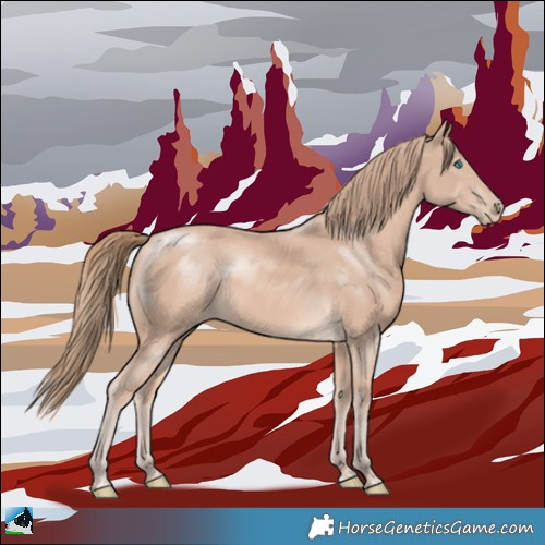 Horse Color:Perlino 