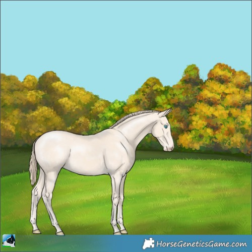 Horse Color:Perlino 