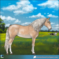 Horse Color:Palomino Mushroom Sabino 