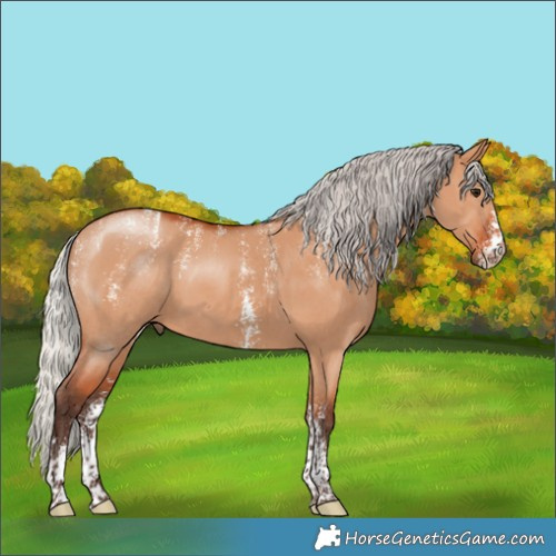 Horse Color:Powder White Silver Bay Dun Sabino