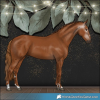Horse Color:Gray Chestnut 