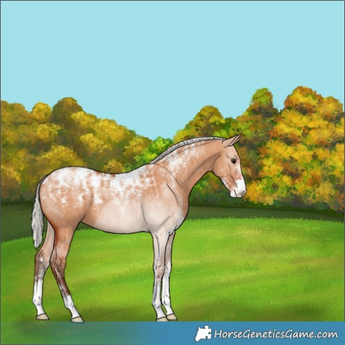 Horse Color:Powder White Silver Bay Dun Brindle 