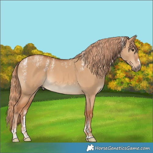 Horse Color:Powder White Red Dun 