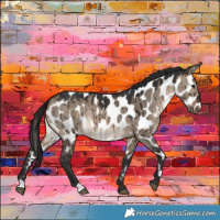 Horse Color:Brown Dun Appaloosa Brindle