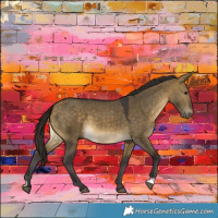 Horse Color:Buckskin Dun 