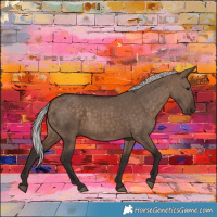 Horse Color:Silver Brown Dun 
