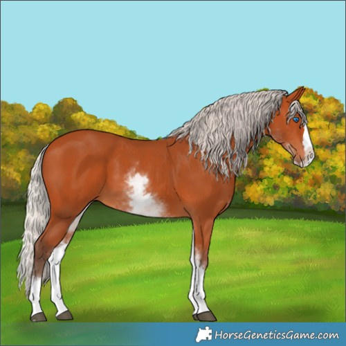 Horse Color:White Spotted Silver Bay Splash