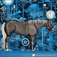Horse Color:Silver Black Splash