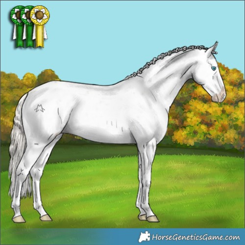 Horse Color:Chocolate Palomino Sabino Splash