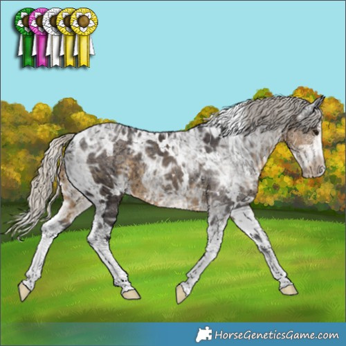 Horse Color:White Spotted Silver Smoky Black Ice Sabino