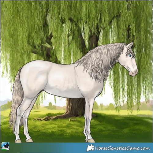 Horse Color:Perlino Mushroom 