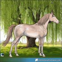 Horse Color:Perlino Mushroom