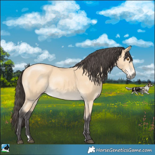 Horse Color:Buckskin Mushroom