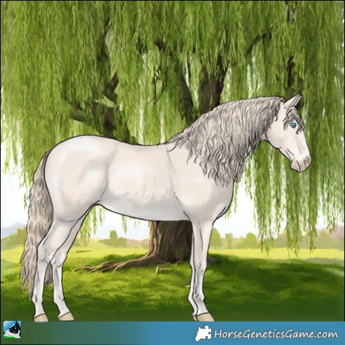 Horse Color:Perlino Mushroom 