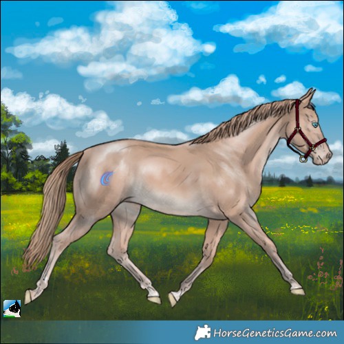 Horse Color:Perlino Mushroom 