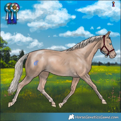 Horse Color:Cremello Mushroom 