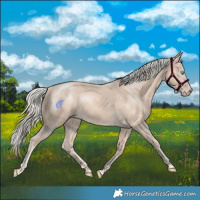Horse Color:Cremello Mushroom 