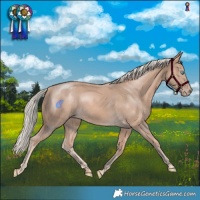 Horse Color:Cremello Mushroom 