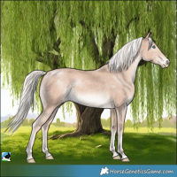 Horse Color:Cremello Mushroom Rabicano 