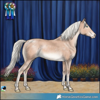 Horse Color:Cremello Mushroom Rabicano 