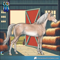 Horse Color:Cremello Mushroom Rabicano 