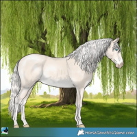 Horse Color:Cremello Mushroom Rabicano 