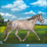 Horse Color:Perlino Mushroom 