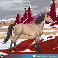 Horse Color:Buckskin Mushroom Rabicano