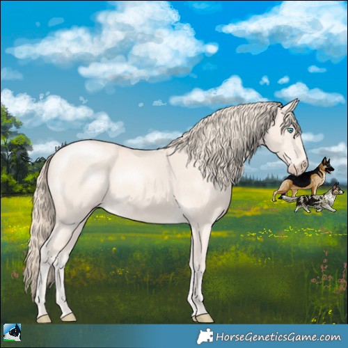 Horse Color:Perlino Mushroom