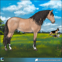 Horse Color:Buckskin Mushroom Rabicano