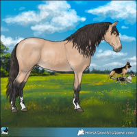 Horse Color:Buckskin Mushroom Rabicano