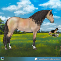 Horse Color:Buckskin Mushroom Rabicano